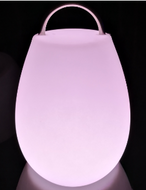 Led Lantern